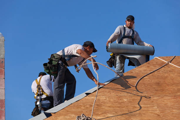 Professional Roofing Contractor in San Ysidro, NM